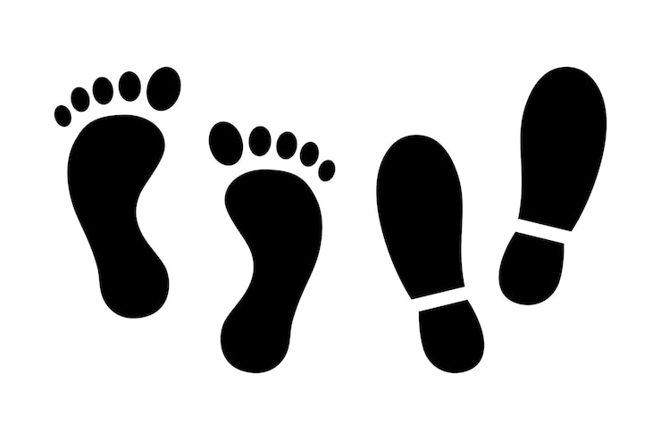 Vettore gratuito collezione di scarpe e impronte