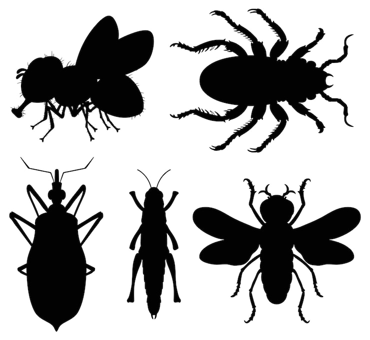 Vettore gratuito collezione di silhouette di vari insetti