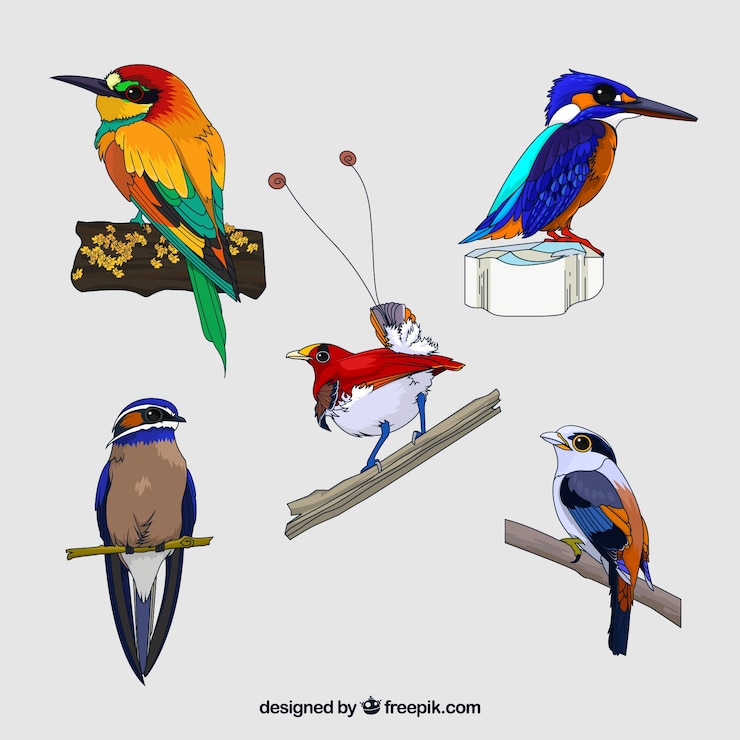 Vettore gratuito collezione di uccelli esotici piatti