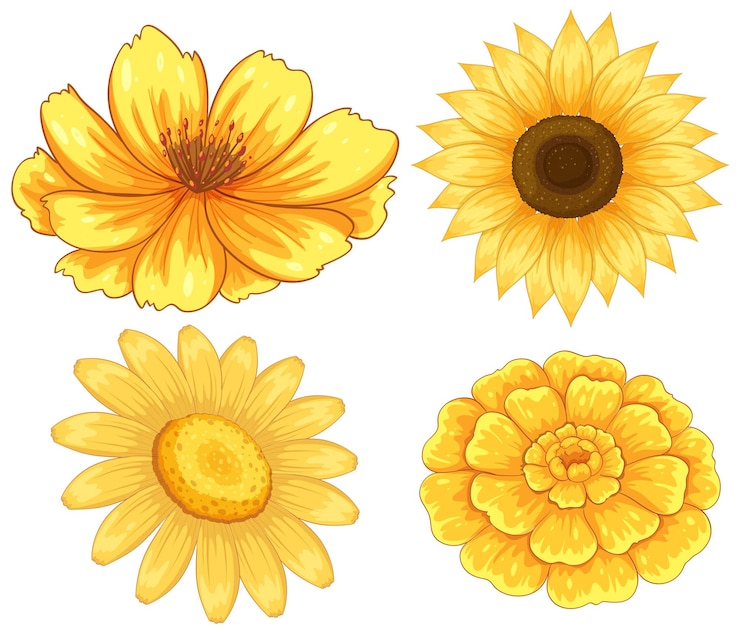 Vettore gratuito collezione di vettori di fiori gialli vibranti