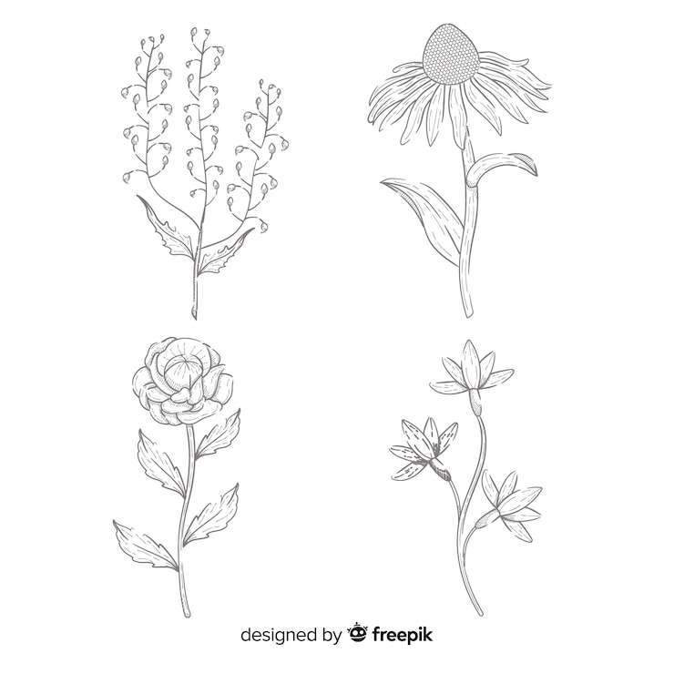 Vettore gratuito collezione floreale disegnata a mano concetto