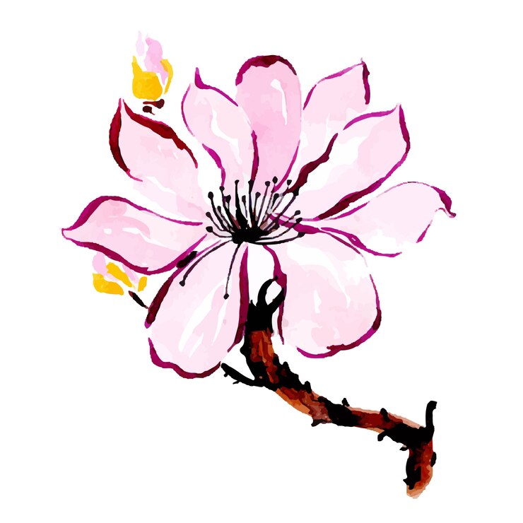 Collezione floreale primavera acquerello