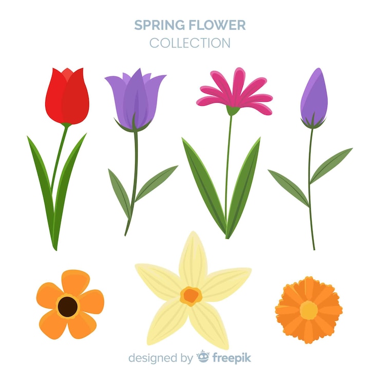 Vettore gratuito collezione floreale primaverile