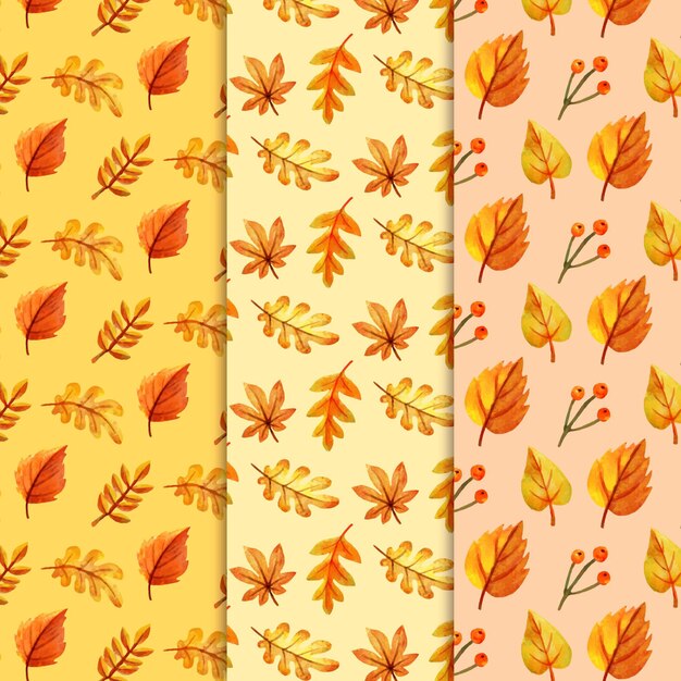 Collezione modello autunno dell'acquerello
