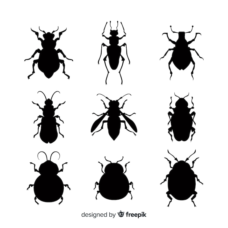 Vettore gratuito collezione silhouette di insetti