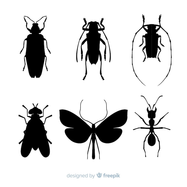 Vettore gratuito collezione silhouette di insetti