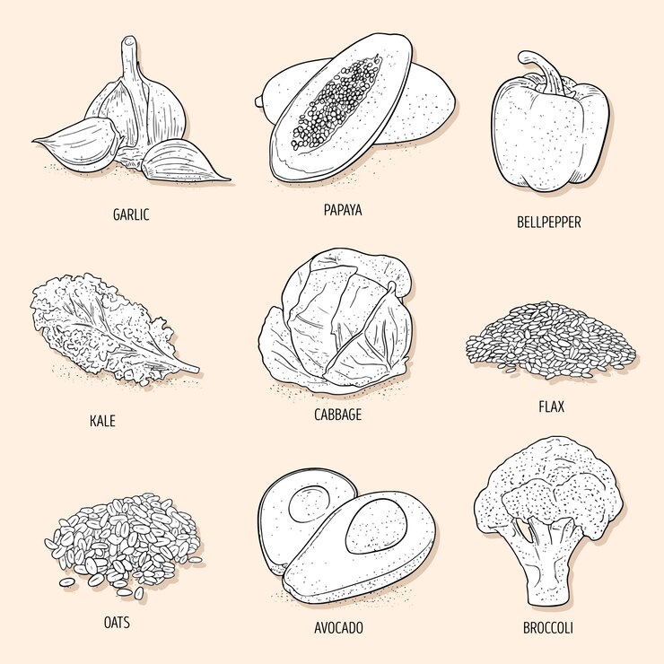 Vettore gratuito collezione superfood stile disegnato a mano