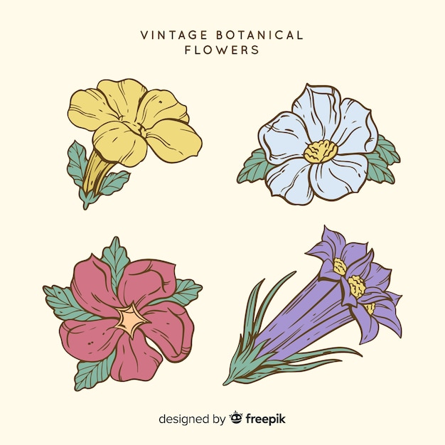 Collezione vintage di fiori botanici