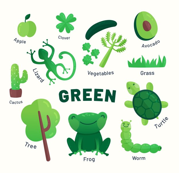 Colore e vocabolario in inglese