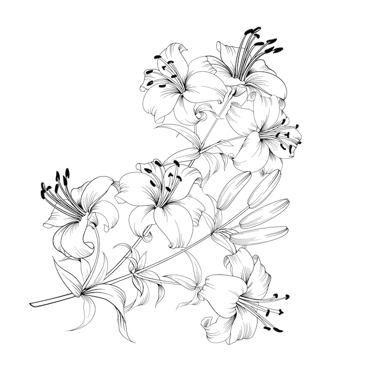 Vettore gratuito composizione di lilys bouquet in bianco e nero.