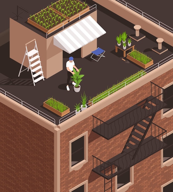Composizione isometrica moderna nella professione dell'industria alimentare con l'agricoltore urbano che coltiva piante sull'illustrazione di vettore 3d del tetto della costruzione