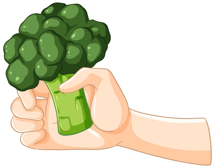 Vettore gratuito con la mano il broccolo verde fresco