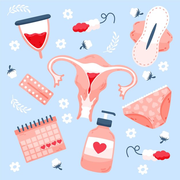 Concetto di sistema riproduttivo femminile