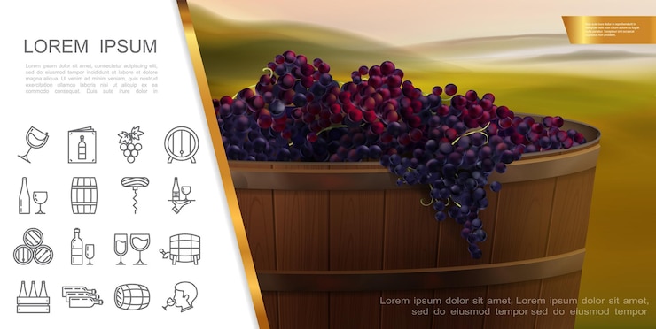 Vettore gratuito concetto realistico degli elementi dell'uva e del vino con la vasca di legno dell'uva rossa fresca e delle icone lineari del vino