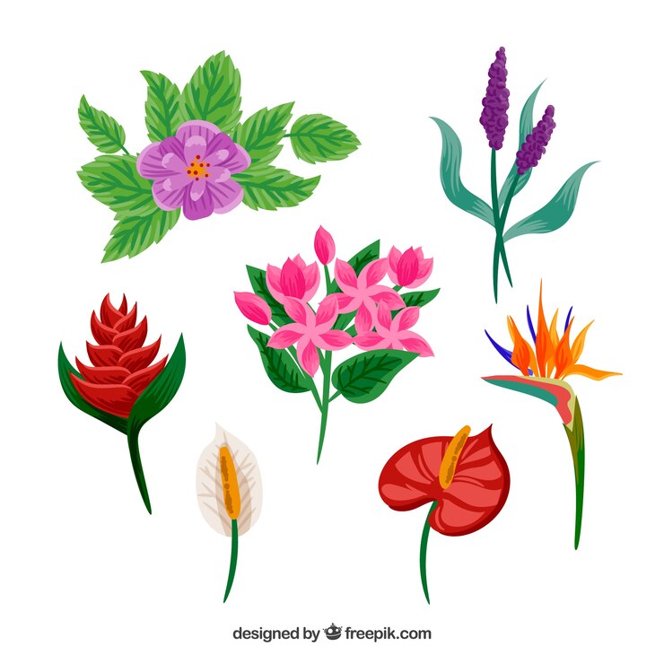 Vettore gratuito confezione da sette fiori tropicali disegnati a mano