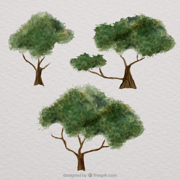 Confezione di alberi in stile acquerello