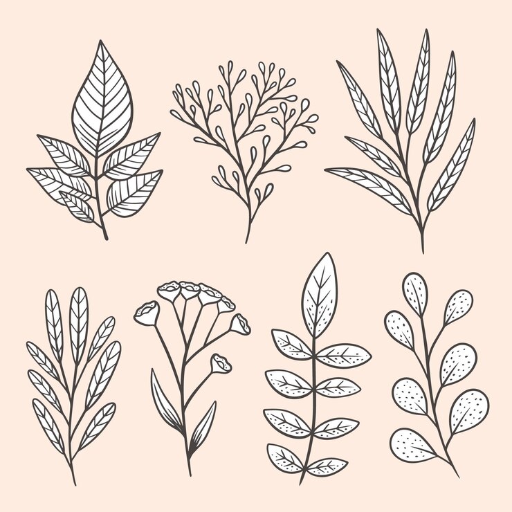 Vettore gratuito confezione di bellissimi fiori disegnati a mano