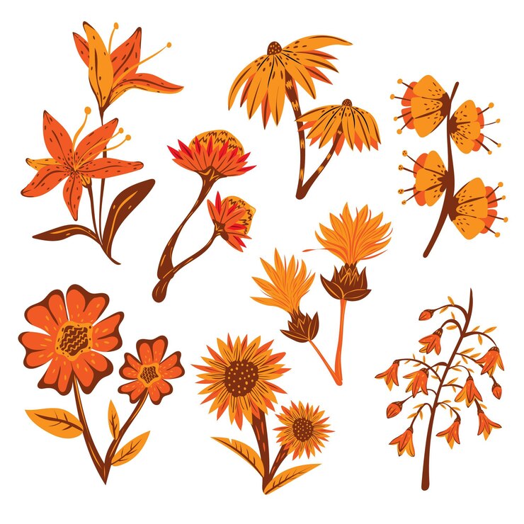 Vettore gratuito confezione di fiori disegnati a mano