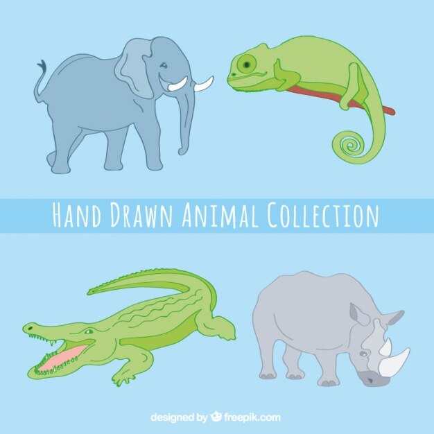 Vettore gratuito confezione di grandi animali disegnati a mano