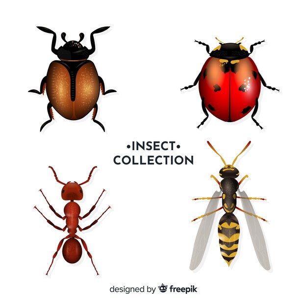Confezione di insetti realistica