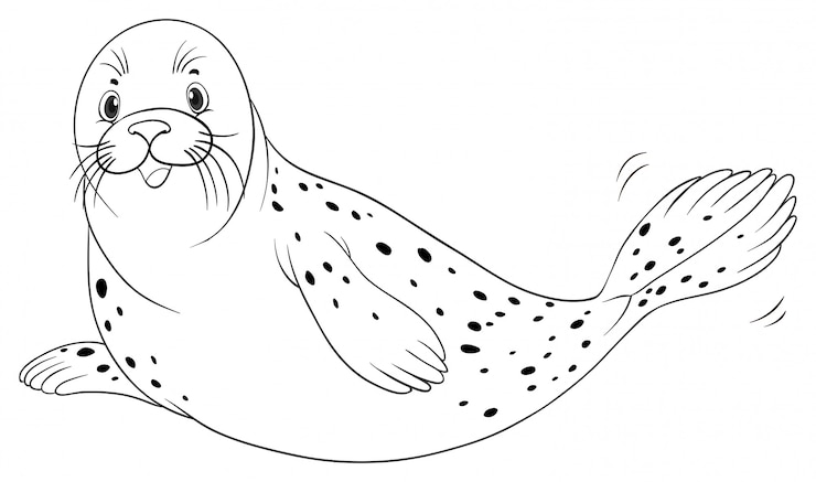 Vettore gratuito contorno animale per foca