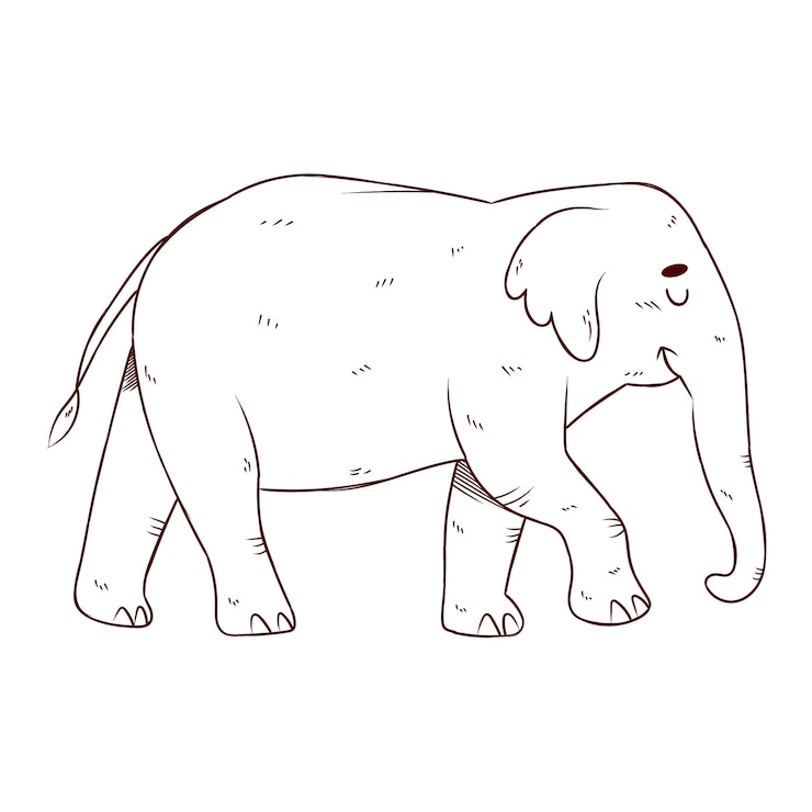 Vettore gratuito contorno di elefante design piatto disegnato a mano