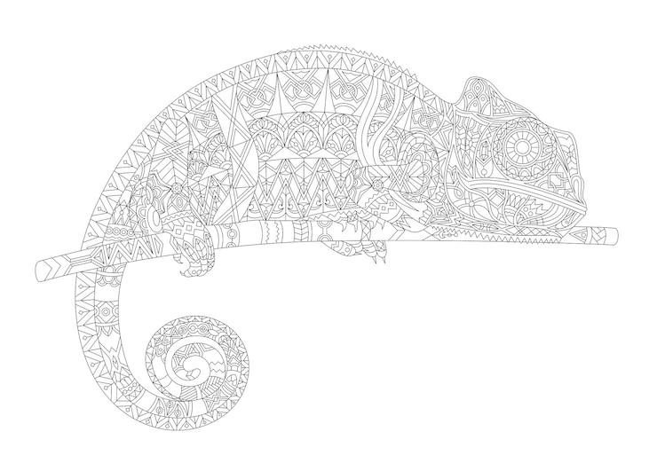 Vettore gratuito contorno disegnato zoologia astratto educativo animale