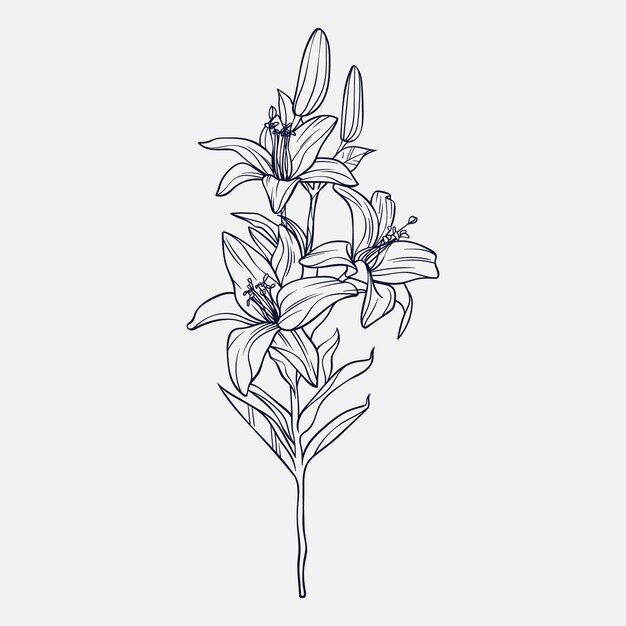 Contorno fiore semplice disegnato a mano