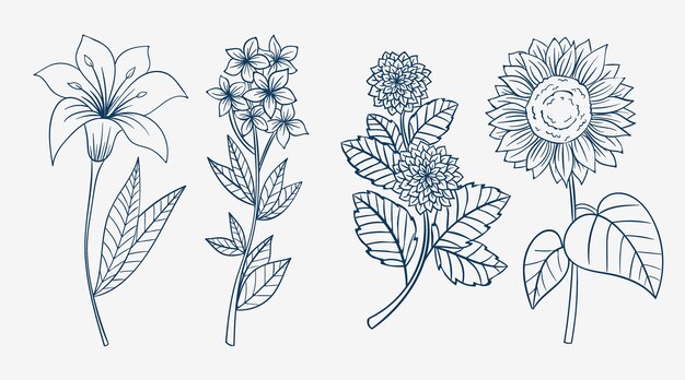 Contorno fiore semplice disegnato a mano