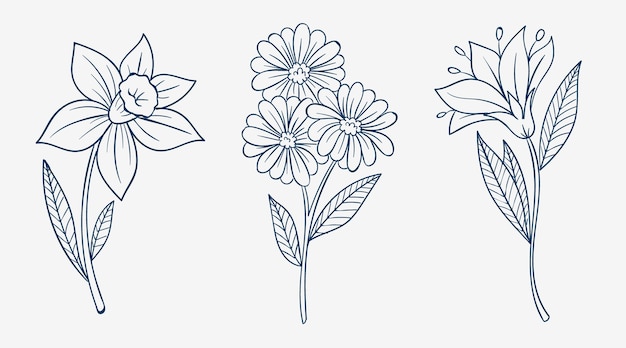 Contorno fiore semplice disegnato a mano