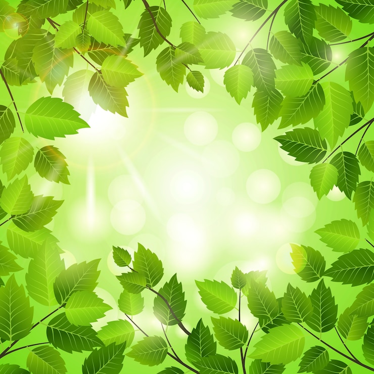 Vettore gratuito cornice a molla di foglie verdi fresche con copyspace centrale con un bohek di luce solare scintillante in formato quadrato per concetti di natura e eco