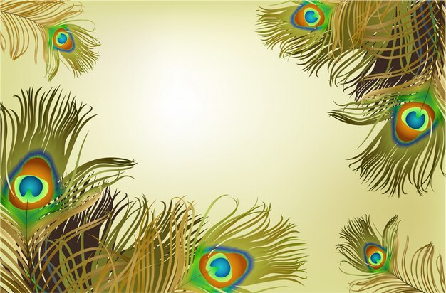 Cornice con sfondo di piume di pavone