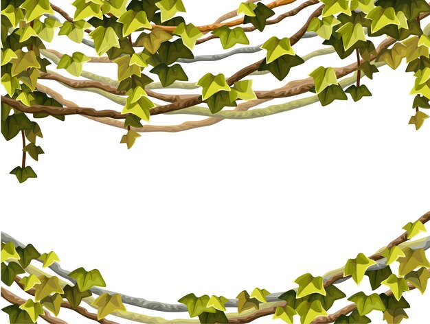 Cornice di edera rami di Liana e foglie tropicali