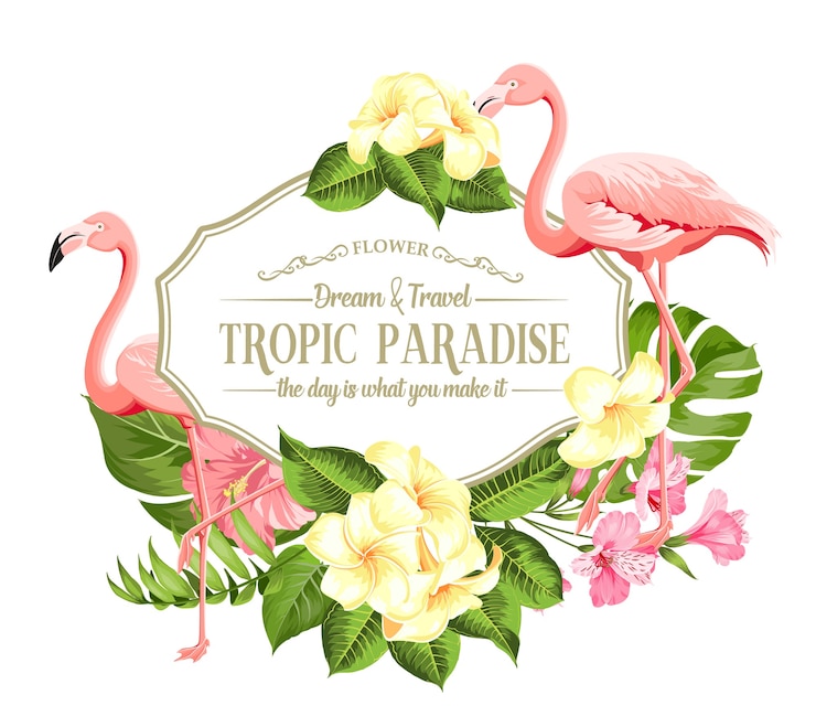 Vettore gratuito cornice di fiori tropicali e fenicotteri su sfondo bianco. illustrazione vettoriale.