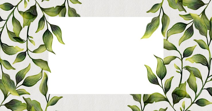 Vettore gratuito cornice di foglie verdi dell'acquerello con banner bianco