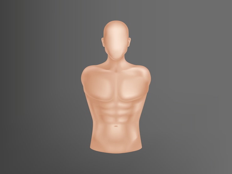 Vettore gratuito corpo umano realistico 3d. torso uomo con muscoli, attrezzatura da atleta per allenamento.