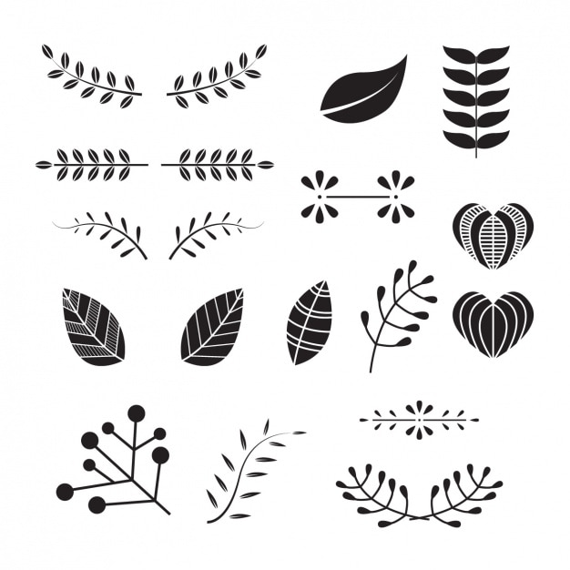 Vettore gratuito decorative leaves collection