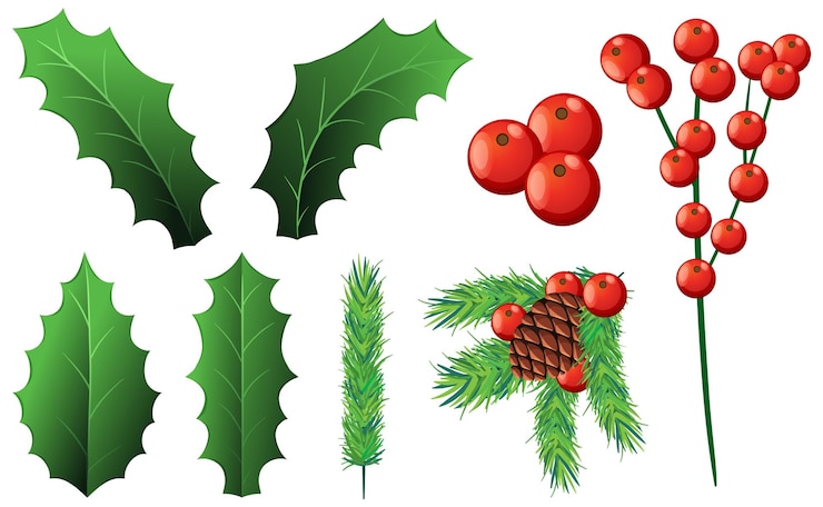 Vettore gratuito decorazione della pianta di natale dell'agrifoglio impostata in stile cartone animato vettoriale