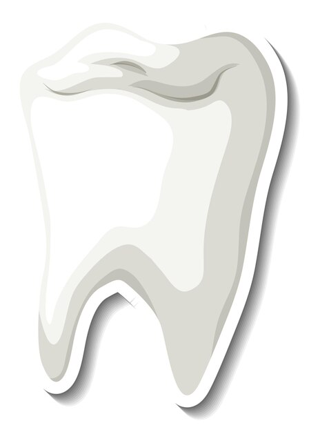 Dente bianco isolato su sfondo bianco