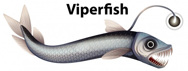 Design Wordcard per viperfish con bianco