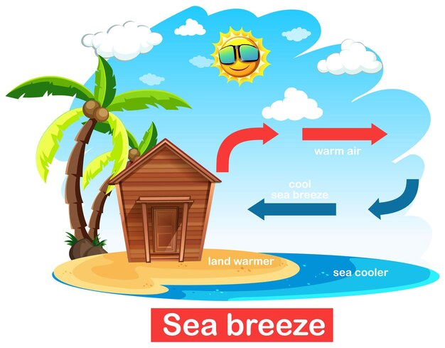 Diagramma che mostra la circolazione della brezza marina