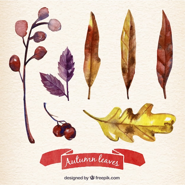 Dipinti a mano foglie d&#39;autunno