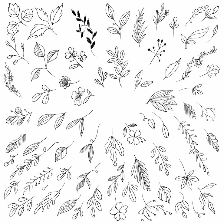 Vettore gratuito disegnare a mano sfondo floreale foglia schizzo set