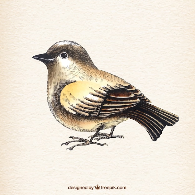 Disegnata a mano uccello naturale