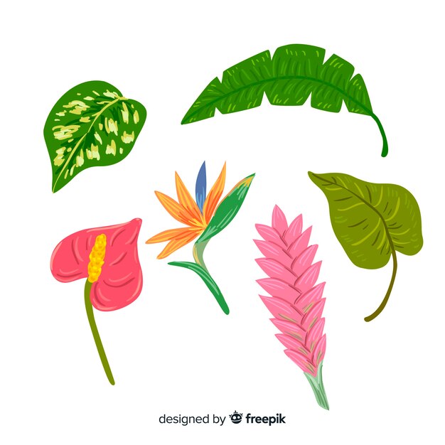 Disegnati a mano fiori e foglie tropicali