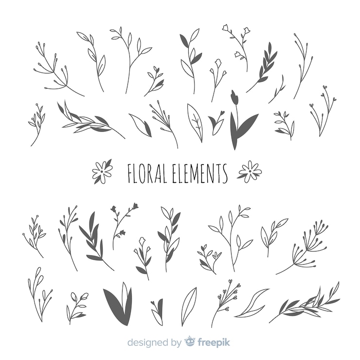 Vettore gratuito disegnati a mano incolore elementi di decorazione floreale
