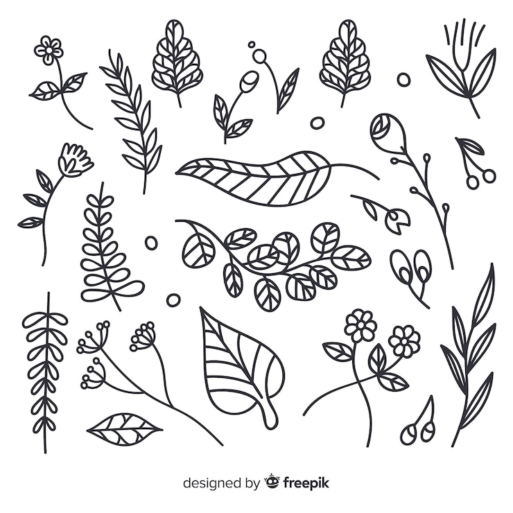 Vettore gratuito disegnati a mano incolore elementi di decorazione floreale