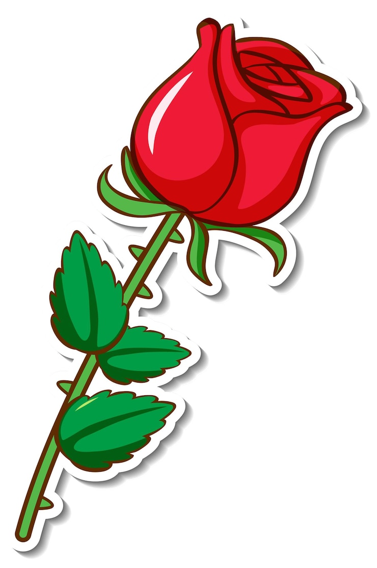 Vettore gratuito disegno adesivo con un fiore di rosa rossa isolato