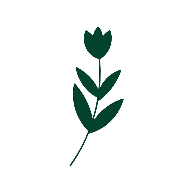 Vettore gratuito disegno botanico di foglie e fiori selvatici