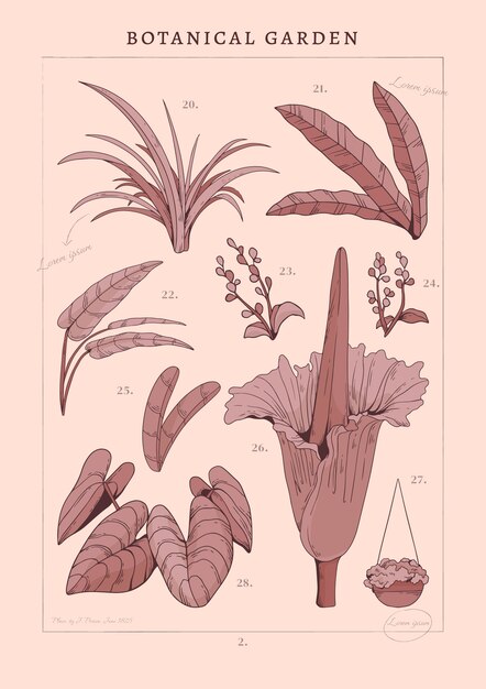 Disegno del manifesto del giardino botanico